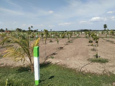 Image of 9600 Sq.ft Residential Plot / Land for sale in Chengalpattu, Chennai for Rs. 2400000