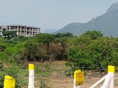 Image of 1750 Sq.ft Residential Plot / Land for sale in Periyanaickenpalayam, Coimbatore for Rs. 2000000