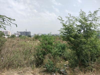RPS City Plot View 2