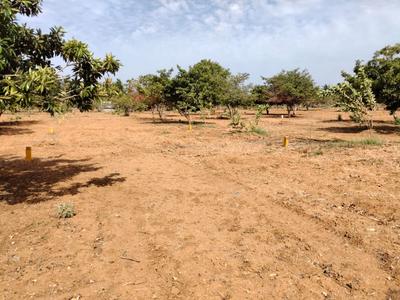 Image of 1200 Sq.ft 3 BHK Villa for sale in Samayapuram, Tiruchirappalli for Rs. 350000
