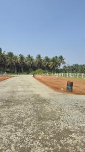 Image of 1500 Sq.ft Residential Plot / Land for sale in Kinathukadavu, Coimbatore for Rs. 490000