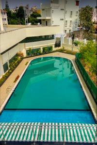 Image of 884 Sq.ft 2 BHK Apartment / Flat for rent in Provident The Tree, Gollarapalya Hosahalli, Bengaluru for Rs. 35000
