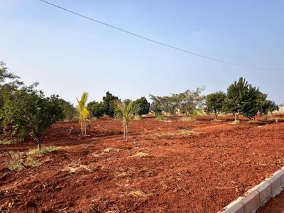 Image of 4650 Sq.ft Residential Plot / Land for sale in Chevella, Hyderabad for Rs. 6100000