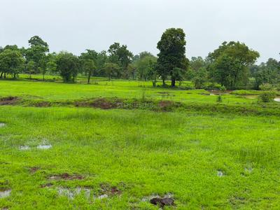 Image of 32670 Sq.ft Residential Plot / Land for sale in Murbad, Thane for Rs. 5075000