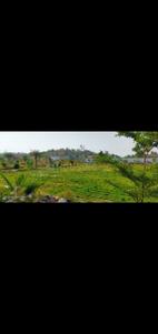 Image of 10000 Sq.ft Residential Plot / Land for sale in Bazargaon, Nagpur for Rs. 3200000