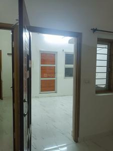 Hall Image of 900 Sq.ft 2 BHK Builder Floor for rent in Baba Farid Nagar Bathinda for Rs. 12000