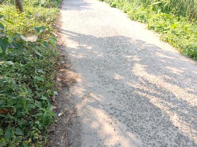 Image of 850 Sq.ft Residential Plot / Land for sale in Nandarampur, Kolkata for Rs. 520000