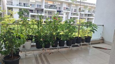 Balcony Image of 2710 Sq.ft 4 BHK Apartment / Flat for sale in Rohan Kritika, Dattavadi Pune for Rs. 47500000
