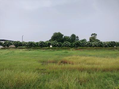 Image of 963 Sq.ft Residential Plot / Land for sale in Mansha Oaks, Sector 98, Faridabad for Rs. 13900000