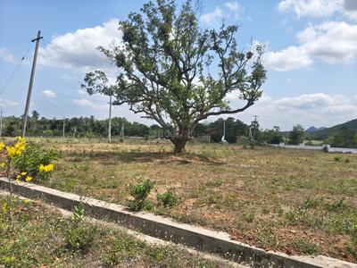 Image of 180 Sq.ft Residential Plot / Land for sale in Leo Royal, Sabbavaram, Visakhapatnam for Rs. 1800000