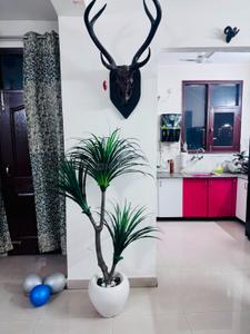 Hall Image of 1365 Sq.ft 2 BHK Apartment / Flat for sale in Gillco Valley, Sector 127 Mohali for Rs. 5000000