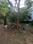 Somalwada Main Image 1