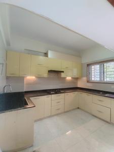 Kitchen Image of 1550 Sq.ft 3 BHK Apartment / Flat for rent in Arakere Bengaluru for Rs. 45000