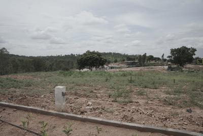 Image of 5000 Sq.ft Residential Plot / Land for sale in Rewild Doddaballapura, Doddaballapura, Bengaluru for Rs. 20000000