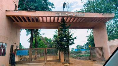 Brindavan farms Plot View 1