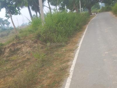 Image of 9520 Sq.ft Residential Plot / Land for sale in Bodh Gaya, Gaya for Rs. 3700000