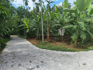 Image of 435 Sq.ft Residential Plot / Land for sale in Nedumbassery, Aluva for Rs. 3000000