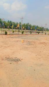 Rekha Royal Homes Plot View 3