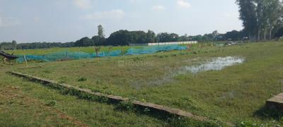 Image of 2000 Sq.ft Residential Plot / Land for sale in Budheshwar, Lucknow for Rs. 350200