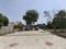 Dharvi Green Main Image 1