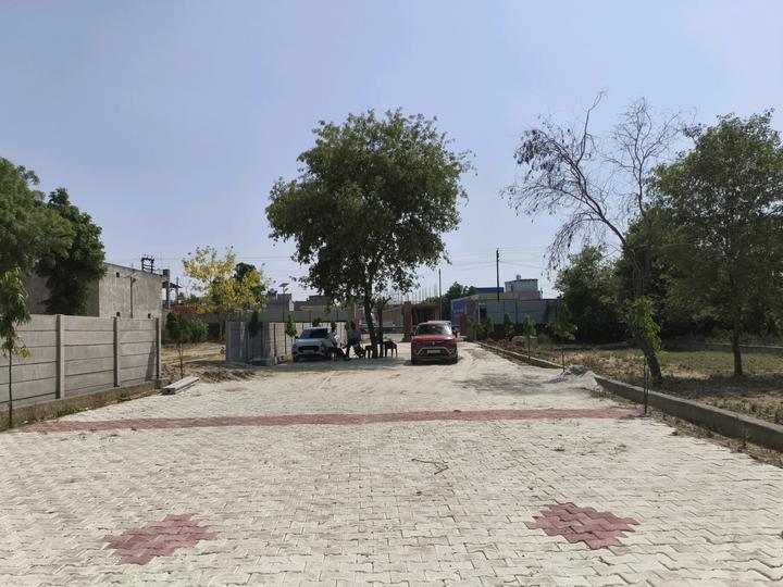 Dharvi Green Main Image 1