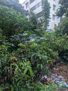 Image of 4020 Sq.ft Residential Plot / Land for sale in Banaswadi, Bengaluru for Rs. 88400000