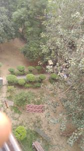 Image of 550 Sq.ft 2 BHK Independent House for rent in Hari Nagar, New Delhi for Rs. 12500