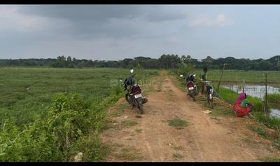 Patrapada Plot View 1
