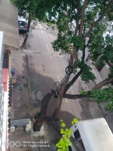 Balcony Image of 1200 Sq.ft 2 BHK Builder Floor for rent in Sanjaynagar Bengaluru for Rs. 25000