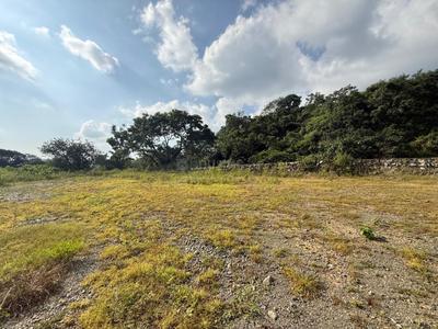 Image of 16650 Sq.ft Residential Plot / Land for sale in Kulhan, Dehradun for Rs. 129500000