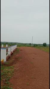 Image of 2200 Sq.ft Residential Plot / Land for sale in Trisulia, Cuttack for Rs. 3300000
