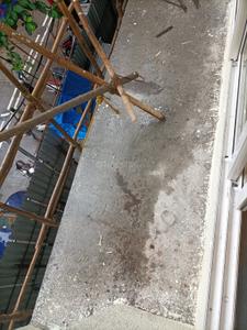 Balcony Image of 575 Sq.ft 1 BHK Apartment / Flat for sale in Shanti Tower, Prabhadevi Mumbai for Rs. 18000000