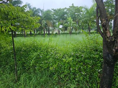 Image of 1264 Sq.ft Residential Plot / Land for sale in DLF Gardencity, Manglia, Indore for Rs. 5680000