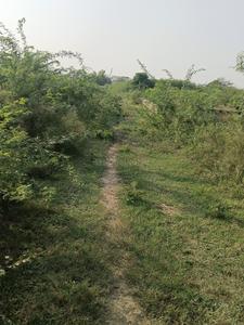 Image of 320 Sq.ft Residential Plot / Land for sale in Sector Xu 2, Greater Noida for Rs. 28800000