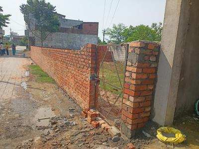 Sugamau Plot View 2