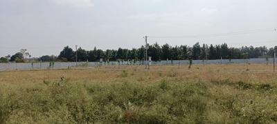 Image of 750 Sq.ft Residential Plot / Land for sale in Kariampalayam, Coimbatore for Rs. 1161750