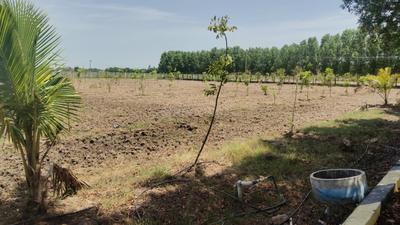 Image of 12000 Sq.ft Residential Plot / Land for sale in Uthiramerur, Chennai for Rs. 4500000
