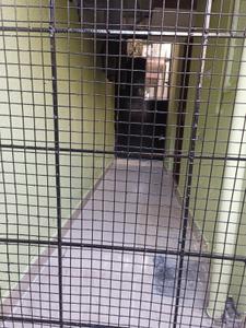 Balcony Image of 3000 Sq.ft 5 BHK Independent House for sale in Bommanahalli Bengaluru for Rs. 35000000