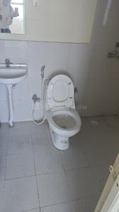Image of 700 Sq.ft 2 BHK Apartment / Flat for rent in Pyramid Urban 67A, Sector 67, Gurgaon for Rs. 22000