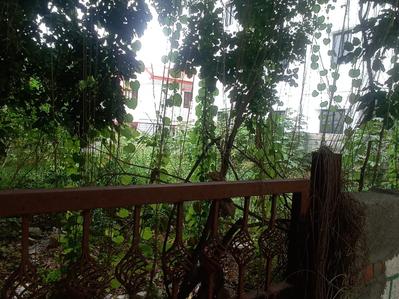 Image of 2400 Sq.ft Residential Plot / Land for sale in Bennigana Halli, Bengaluru for Rs. 70000000