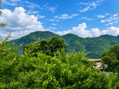 Image of 245 Sq.ft Residential Plot / Land for sale in Mussoorie Road, Dehradun for Rs. 28175000