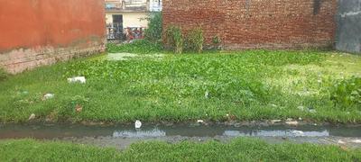 Image of 880 Sq.ft Residential Plot / Land for sale in Ambala Cantt, Ambala for Rs. 1600000