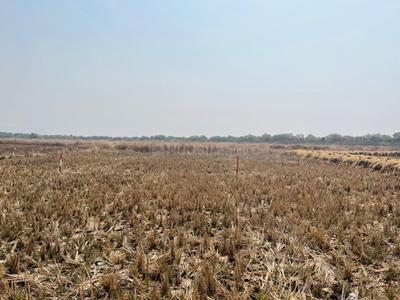 Image of 1089 Sq.ft Residential Plot / Land for sale in Vindhane, Navi Mumbai for Rs. 625000