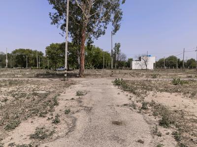 Residential Plot