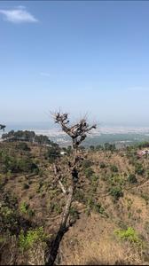 Image of 2700 Sq.ft Residential Plot / Land for sale in Maldevta, Dehradun for Rs. 8500000