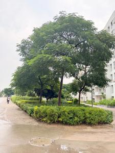 Image of 2085 Sq.ft 3 BHK Apartment / Flat for sale in Vatika Seven Elements, Sector 89A, Gurgaon for Rs. 24500000