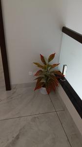 Hall Image of 1700 Sq.ft 3 BHK Duplex for sale in Talawali Chanda Indore for Rs. 9700000