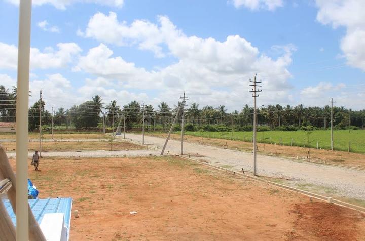 Gundlupet Main Image 1