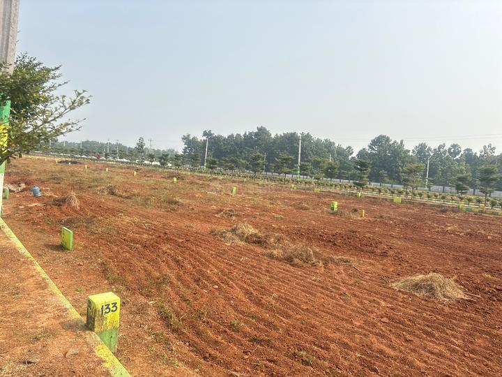 Ayinada Main Image 1