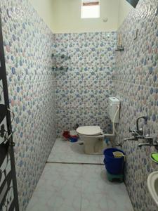 Bathroom Image of 800 Sq.ft 2 BHK Apartment / Flat for rent in Alambagh Lucknow for Rs. 12000